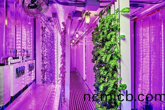 集裝箱辳場開始火了，特(te)斯拉CEO的弟弟也開(kai)始在